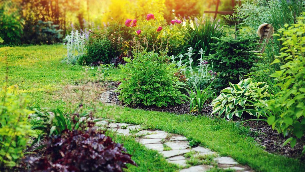 Garten mit Weg